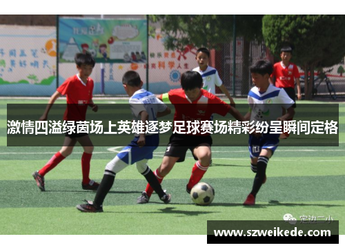 激情四溢绿茵场上英雄逐梦足球赛场精彩纷呈瞬间定格